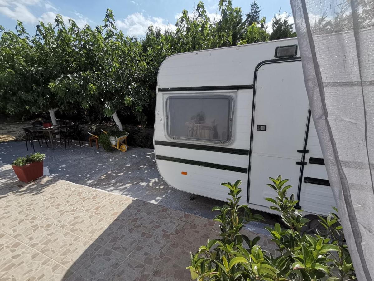 Green Garden Caravan Agrilia Exterior foto