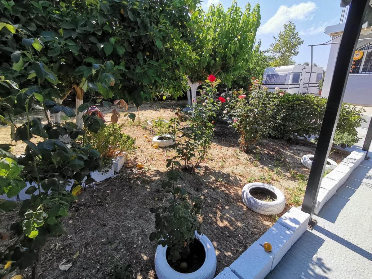 Green Garden Caravan Agrilia Exterior foto
